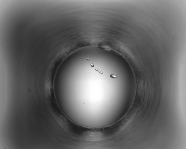 X0000088710644200706071600