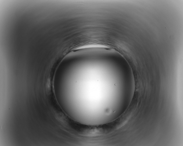 X0000088710646200706071600