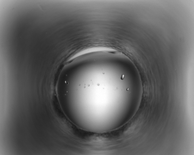 X0000088710648200706071600