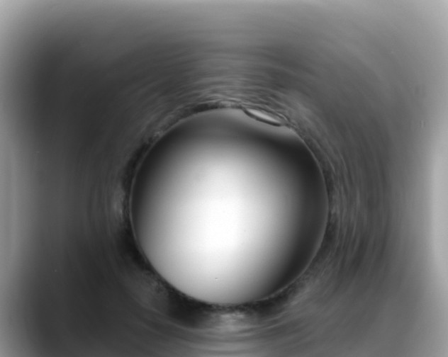 X0000088710650200706071601