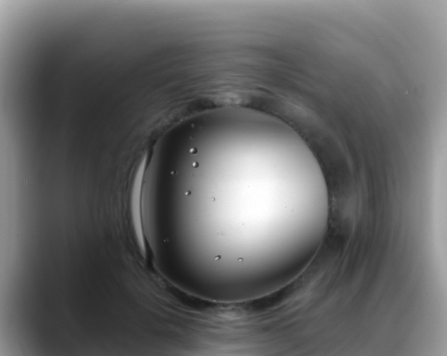 X0000088710652200706071601