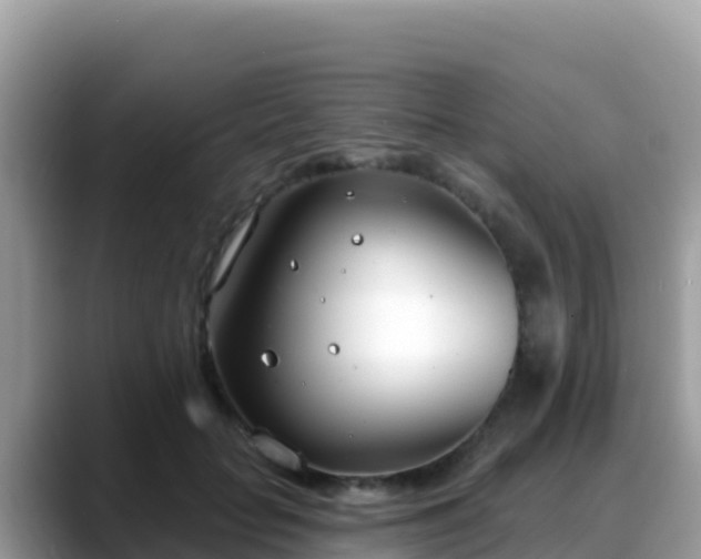 X0000088710653200706071601