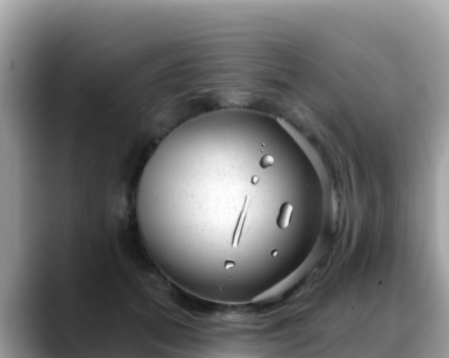 X0000088710655200706071601