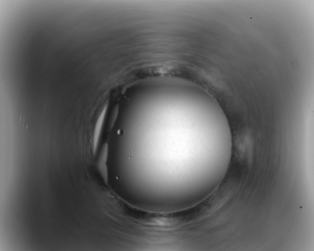 X0000088710657200706071601