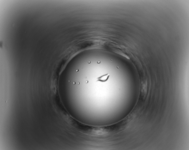 X0000088710666200706071601