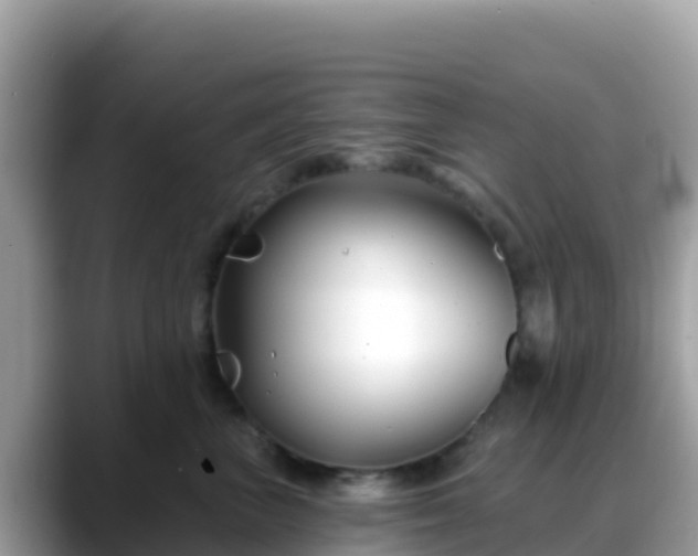 X0000088710667200706071601