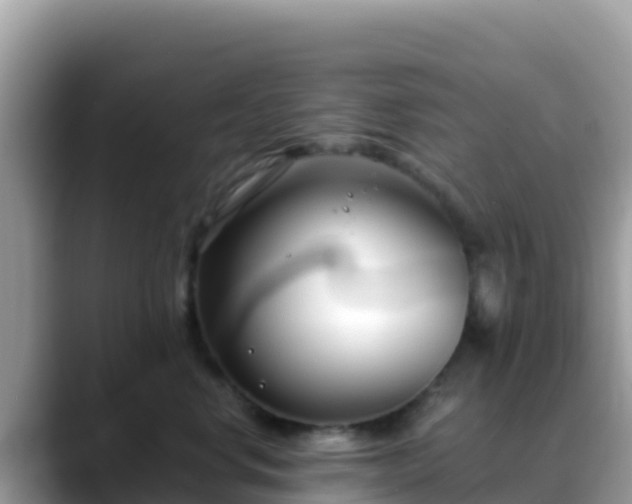 X0000088710668200706071601