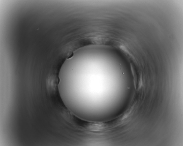 X0000088710671200706071601