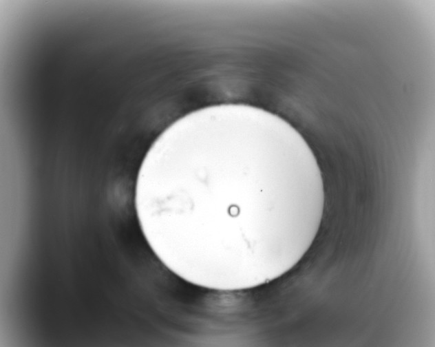 X0000088710672200706071601