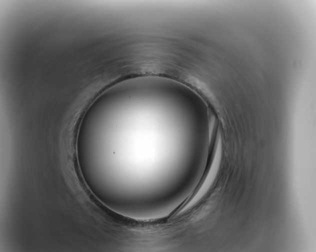 X0000088710673200706071600