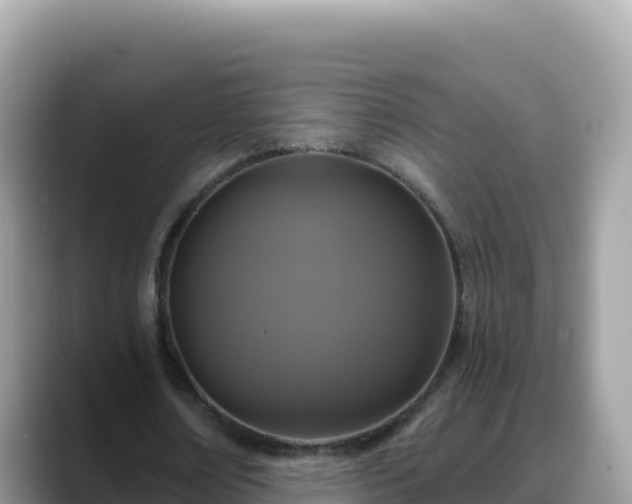 X0000088710674200706071600