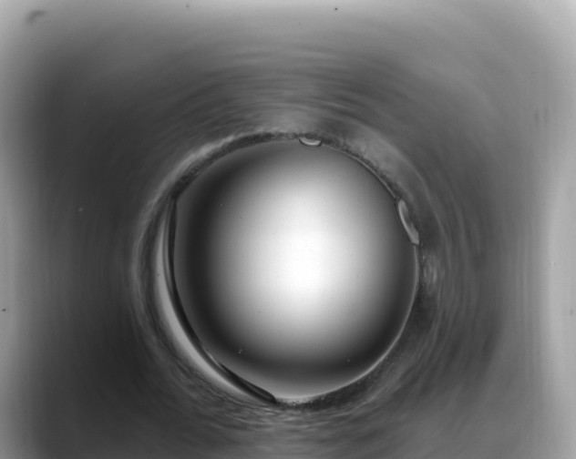 X0000088710676200706071600