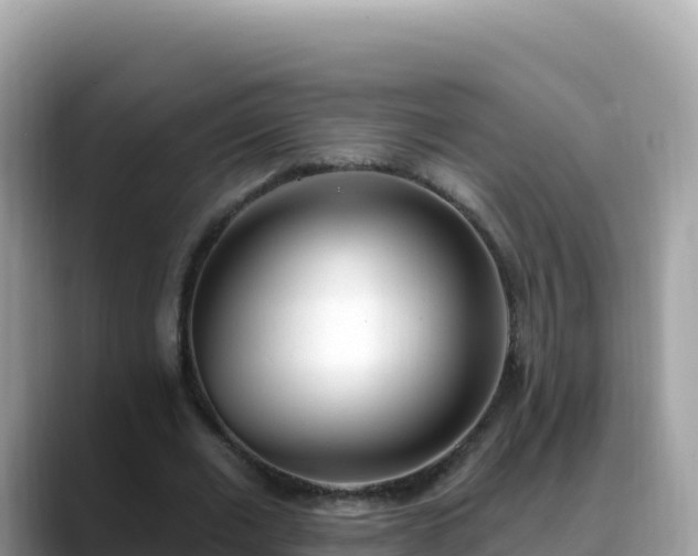 X0000088710677200706071600