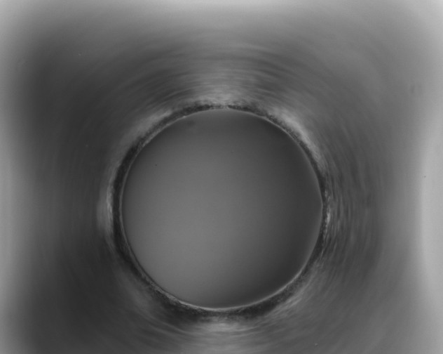 X0000088710678200706071600