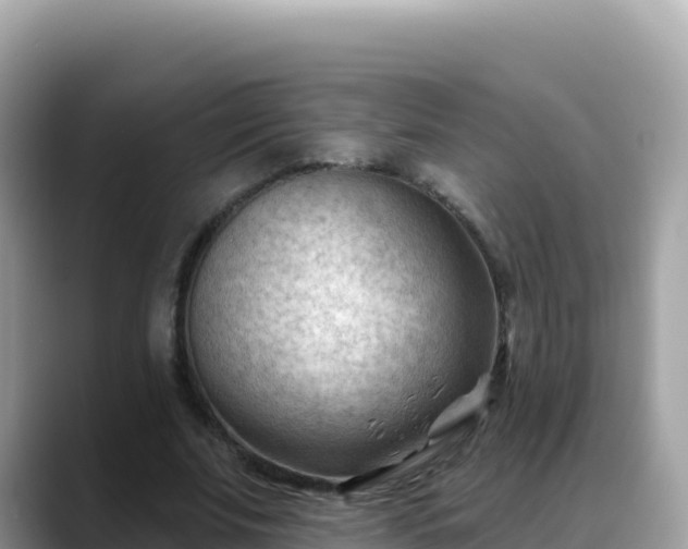 X0000088710679200706071600