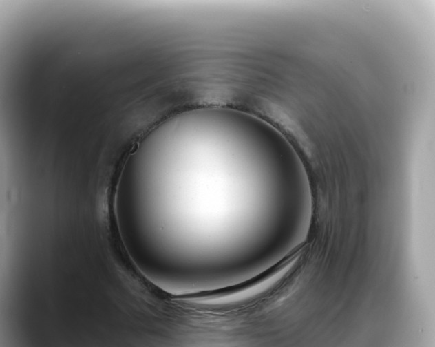 X0000088710681200706071600