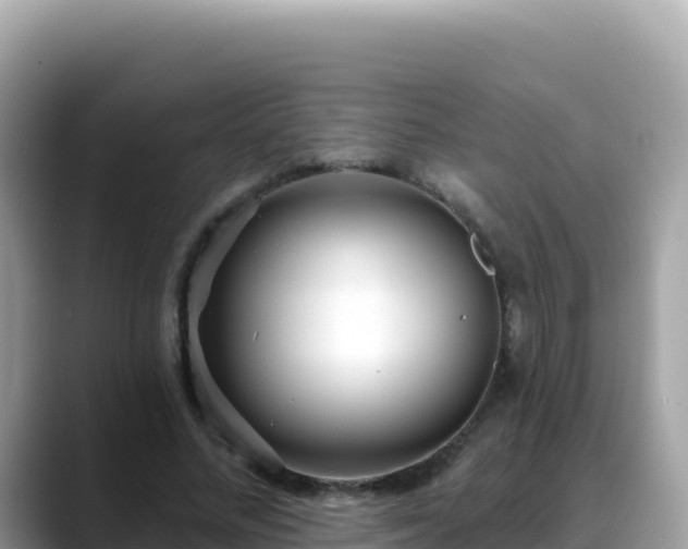 X0000088710684200706071600