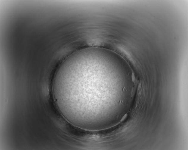 X0000088710687200706071600