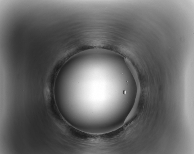 X0000088710688200706071600