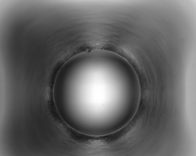 X0000088710689200706071600