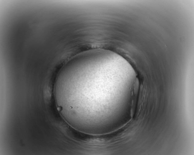 X0000088710691200706071600