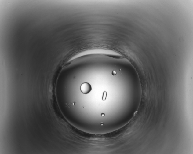 X0000088710693200706071600