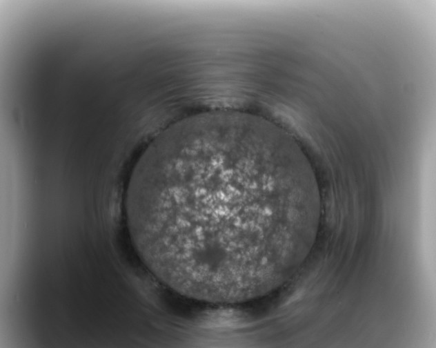 X0000088710695200706071600