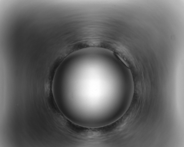 X0000088710697200706071600