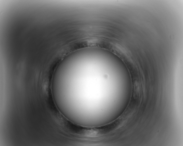 X0000088710698200706071600