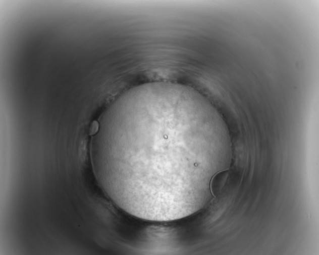 X0000088710699200706071600