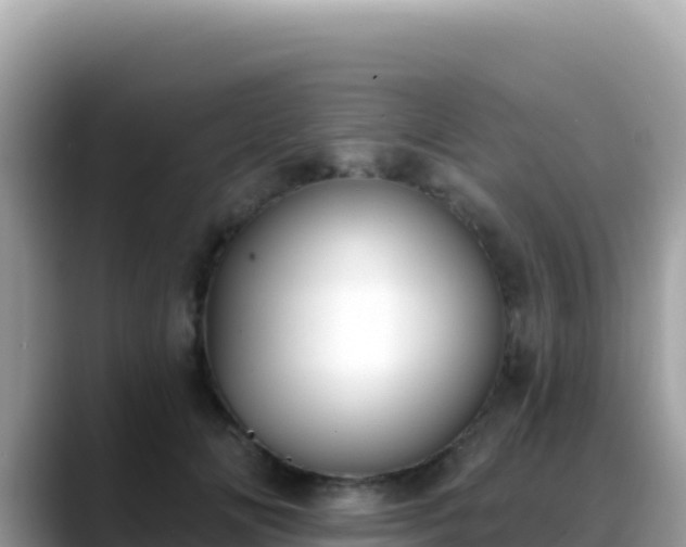 X0000088710702200706071600