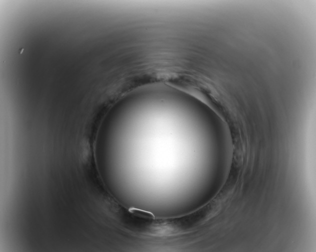 X0000088710704200706071600