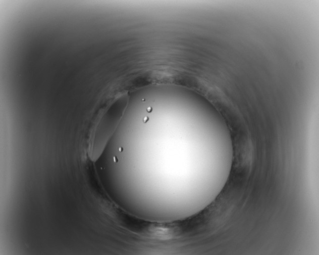 X0000088710706200706071600