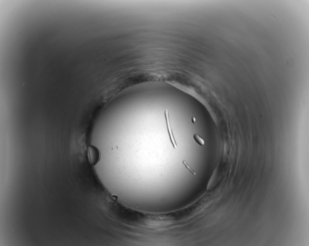 X0000088710707200706071600