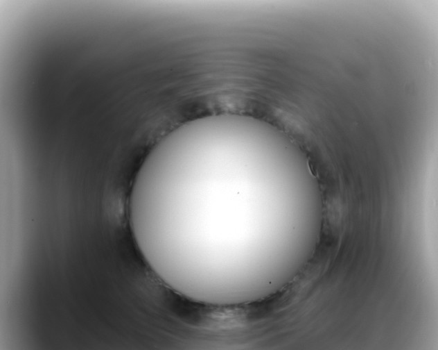 X0000088710709200706071600