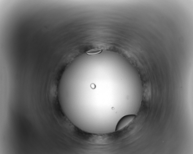 X0000088710713200706071600