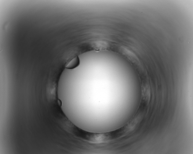 X0000088710717200706071600