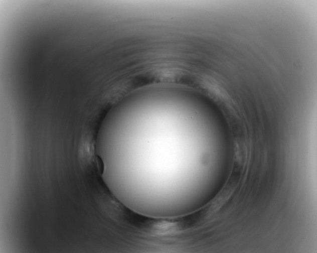 X0000088710718200706071600