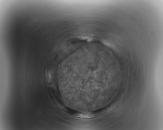 X0000088710720200706071600