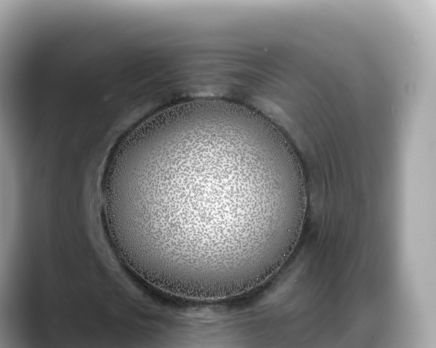 X0000088710721200706071559