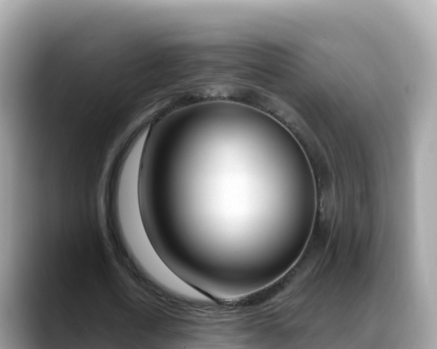 X0000088710722200706071559