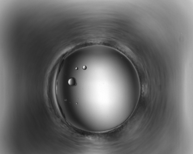 X0000088710724200706071559