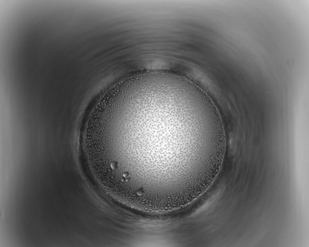 X0000088710725200706071559