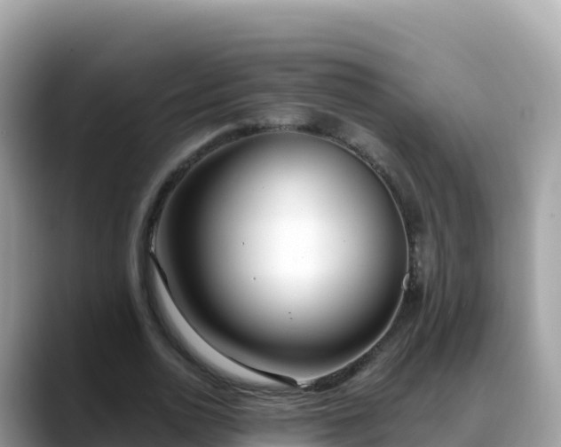 X0000088710726200706071559