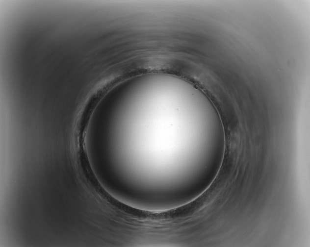 X0000088710727200706071559