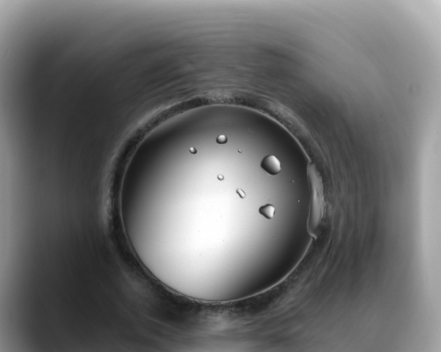 X0000088710728200706071559