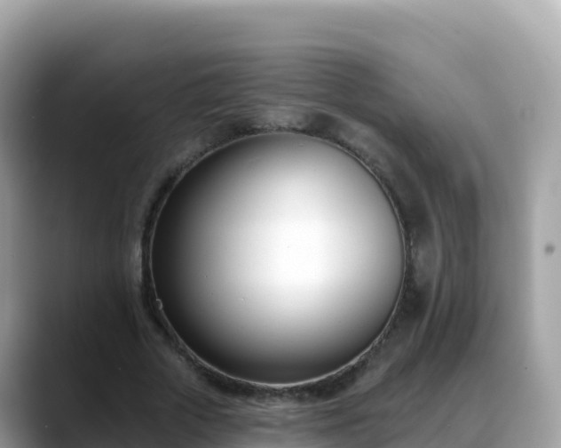 X0000088710729200706071559