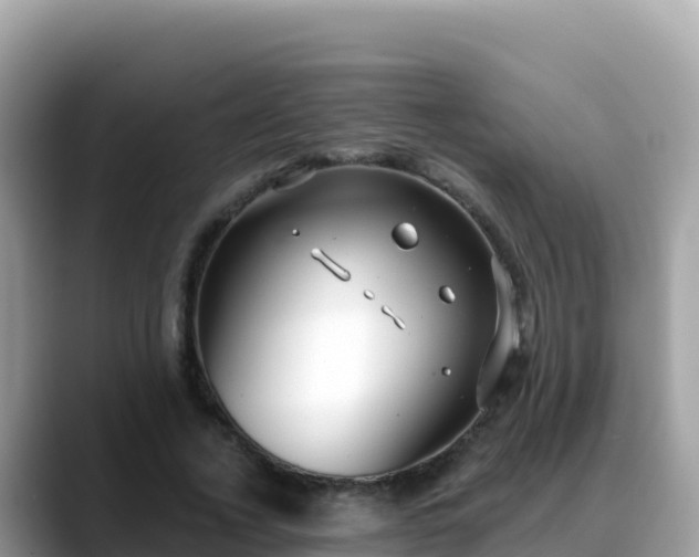 X0000088710732200706071559