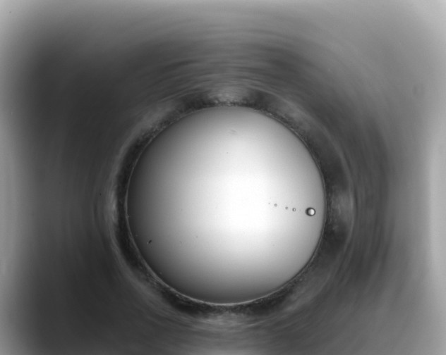 X0000088710734200706071559