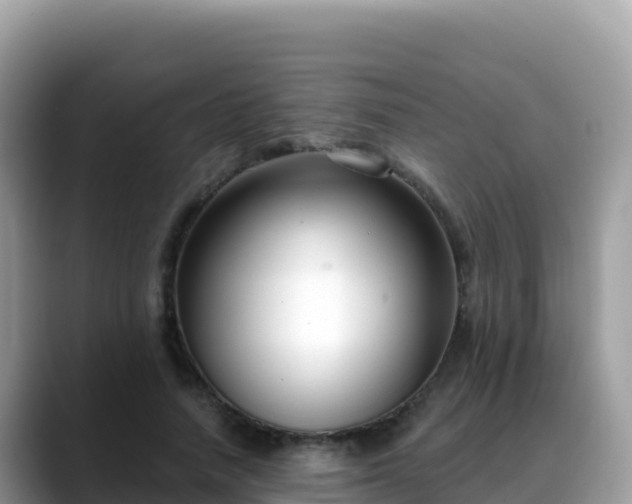 X0000088710738200706071559